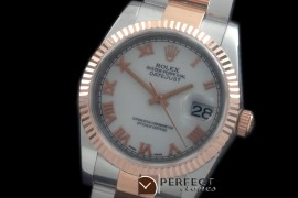 RDJMTR00311 RG/SS Fluted Oyster P-White Roman 2836