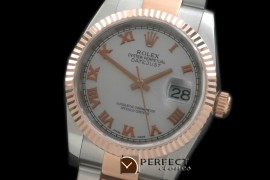 RDJMTR00312 RG/SS Fluted Oyster M-White Roman 2836