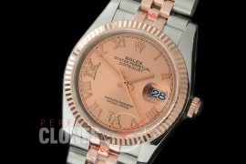 R36DJTR-336 GMF 126231 SS/RG Fluted/Jubilee White Roman SA 3135 904L Steel 