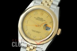 R36DJT-526S BP Datejust 36 126233 SS/YG Smooth/Jubilee 2019 Gold Roman A-2824