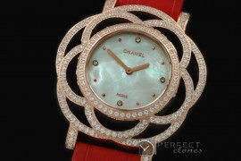 CHJW-111 Jewellery Watches Ladies RG/Diam/LE MOP White Swiss Qtz