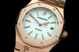 AP00055 Royal Oak Jumbo Auto RG/RG White A-2824-2