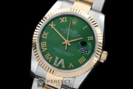 RDJMT00502 SS/YG Oyster Green Roman/Diam 2836