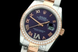 RDJMTR00501D1 SS/RG Oyster Purple Roman/Diam 2836