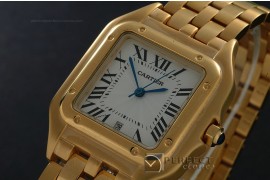 CARPT10002 Pantree Men Full Gold Quartz