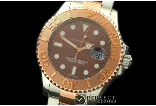 RYMENTR00051 NB 116655 2016 YM SS/RG Chocolate A-2836