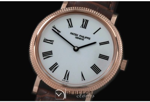 PP00846 512Calastrava RG/LE Wht
