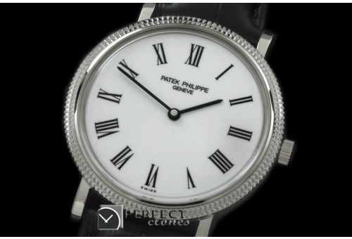 PP00841 512Calastrava SS/LE Wht