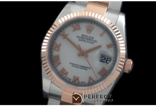 RDJMTR00311 RG/SS Fluted Oyster P-White Roman 2836