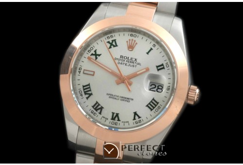 R41DJTR00231 SS/RG Oyster Smooth White Roman Asian 28360054f