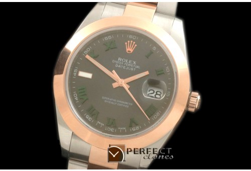 R41DJTR00232 SS/RG Oyster Smooth Grey Roman Asian 2836