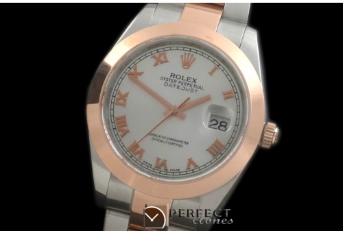 R41DJTR00242 SS/RG Oyster Smooth White Roman Asian 2836
