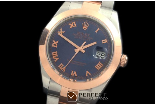 R41DJTR00245 SS/RG Oyster Smooth Blue Roman Asian 2836