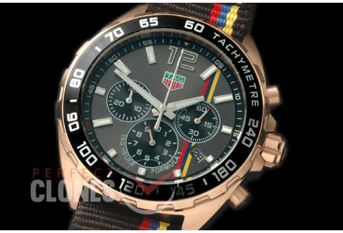 0 TGF1-00100A Formula 1 Good Wood Festival of Speed Special Ed Chronograph RG/NY Grey OS 10 Qtz