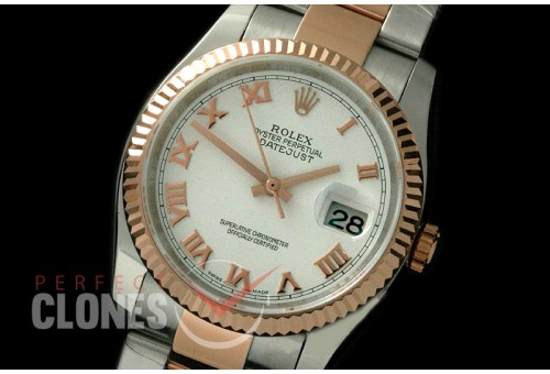 R36DJTR-771 116231 SS/RG Fluted/Oyster White Roman SA 3135