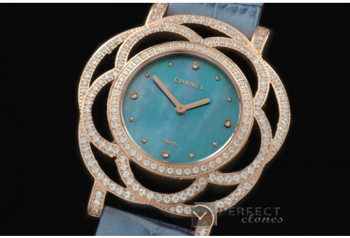 CHJW-113 Jewellery Watches Ladies RG/Diam/LE MOP Blue Swiss Qtz