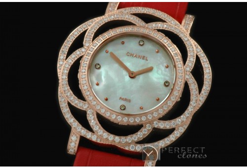 CHJW-111 Jewellery Watches Ladies RG/Diam/LE MOP White Swiss Qtz