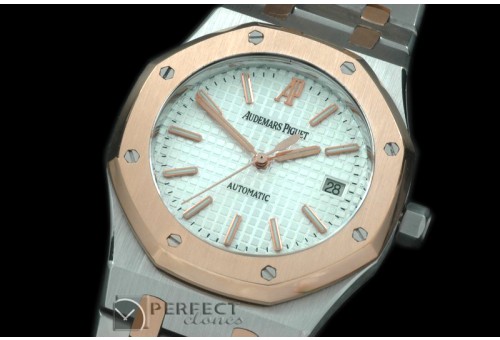 AP00047 Royal Oak Jumbo Auto SS/RG TT White A-2824-2