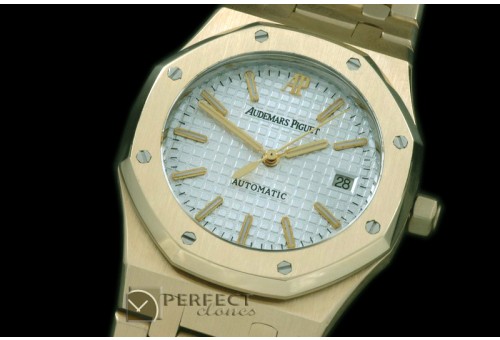 AP00051 Royal Oak Jumbo Auto YG/YG White A-2824-2
