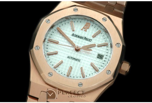 AP00055 Royal Oak Jumbo Auto RG/RG White A-2824-2