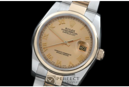 RDJMT00333 SS/YG Oyster Gold Roman Swiss Eta 2836-2