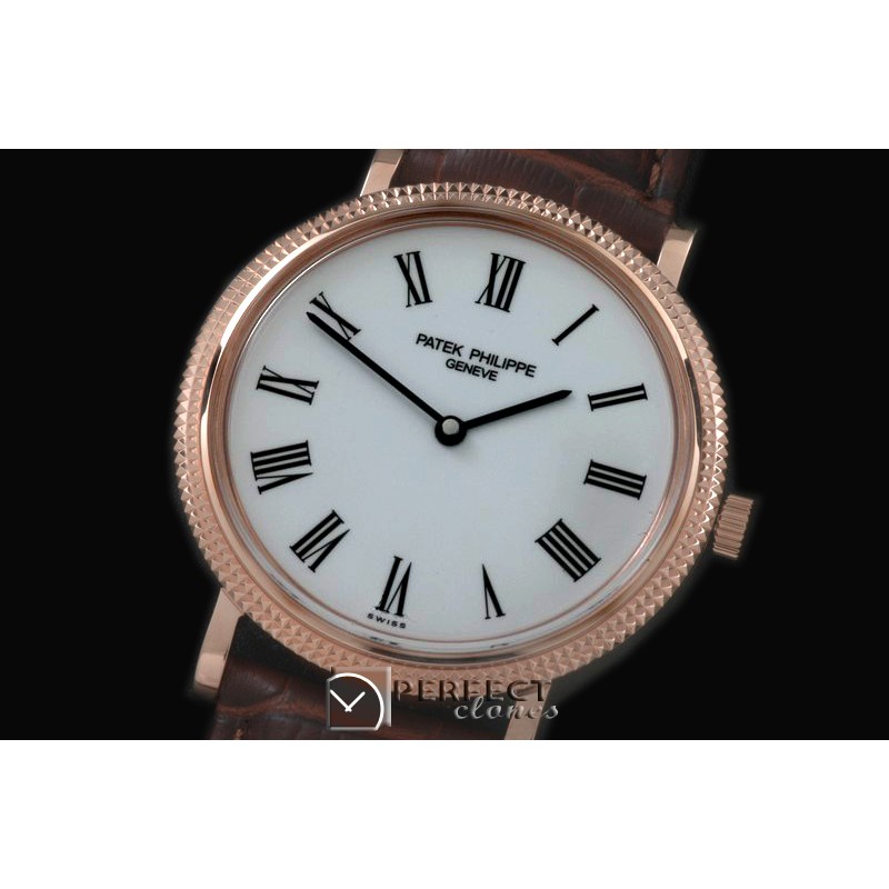 PP00846 512Calastrava RG/LE Wht