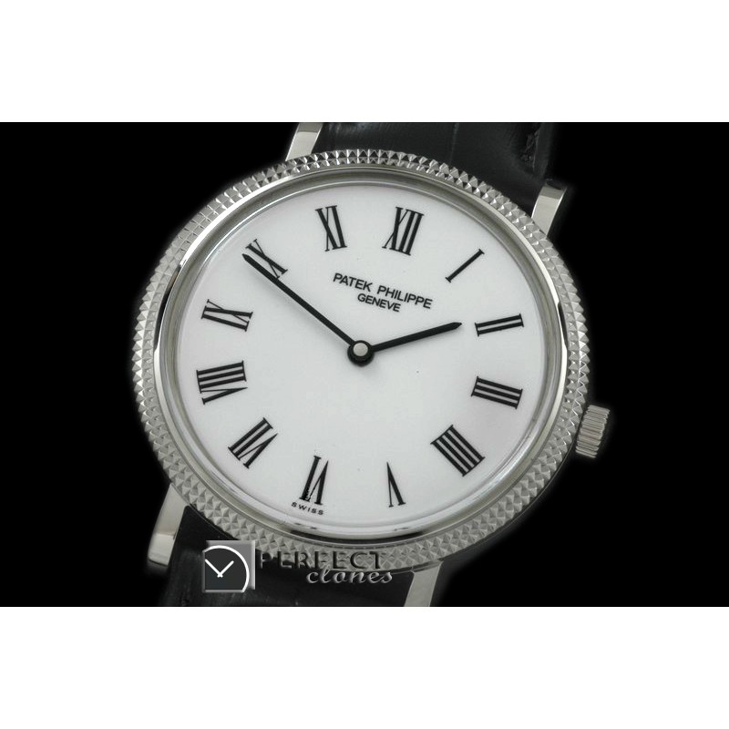 PP00841 512Calastrava SS/LE Wht