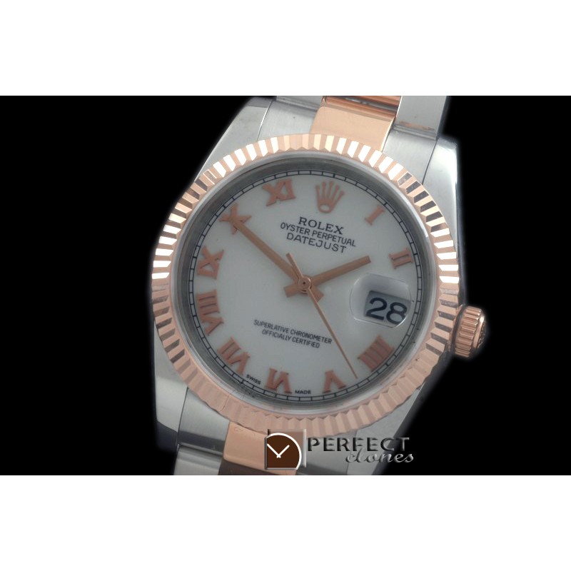RDJMTR00311 RG/SS Fluted Oyster P-White Roman 2836