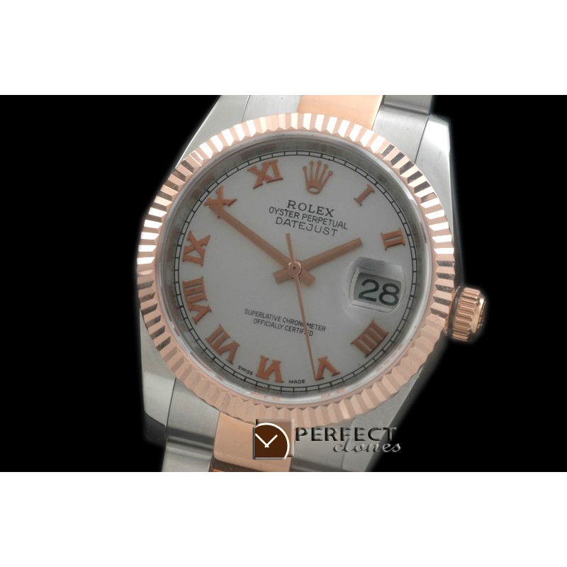 RDJMTR00312 RG/SS Fluted Oyster M-White Roman 2836