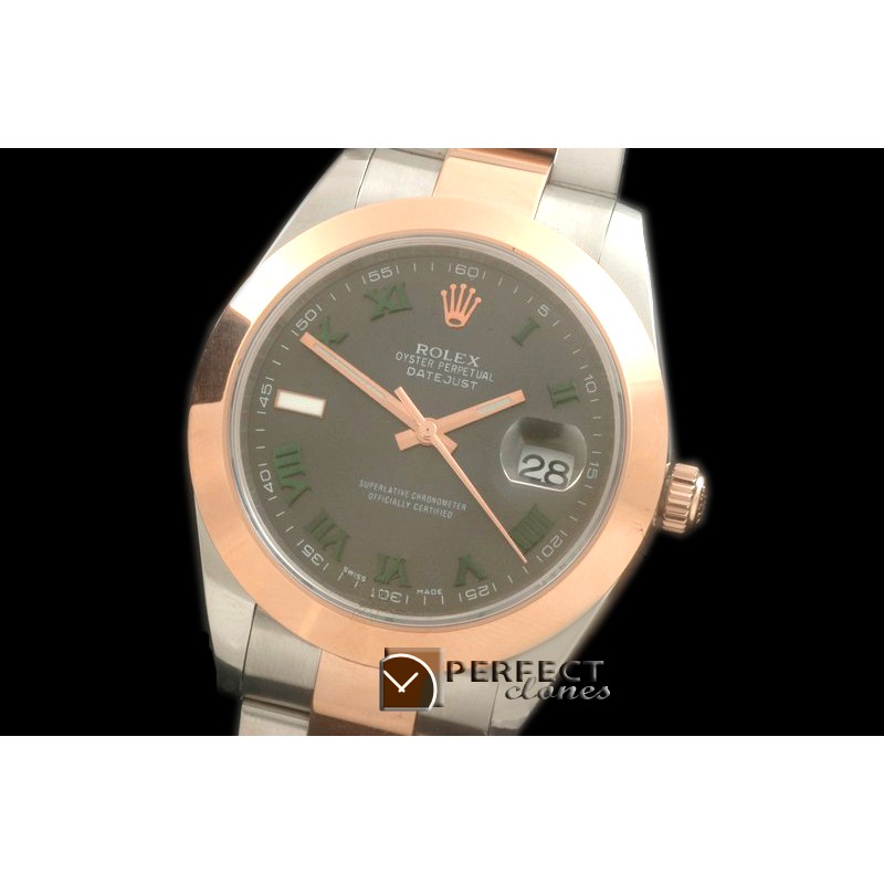 R41DJTR00232 SS/RG Oyster Smooth Grey Roman Asian 2836