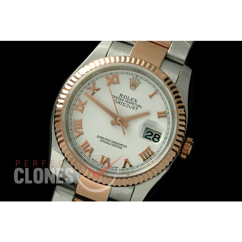 R36DJTR-771 116231 SS/RG Fluted/Oyster White Roman SA 3135