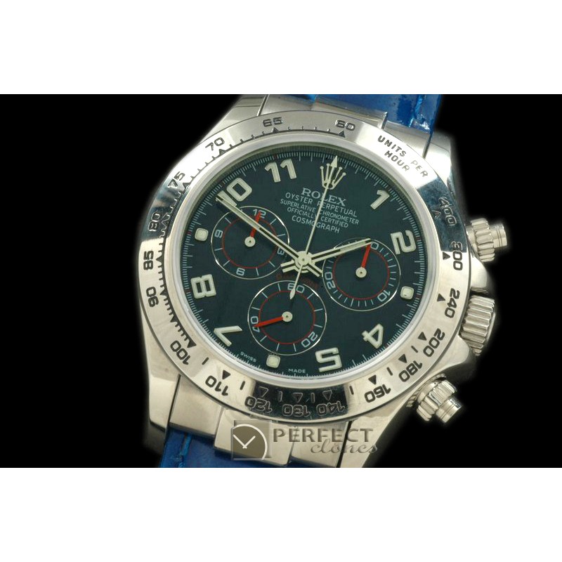 RLDS00115L Daytona 116519 SS/LE Blue Num A-775Sec@6 28800