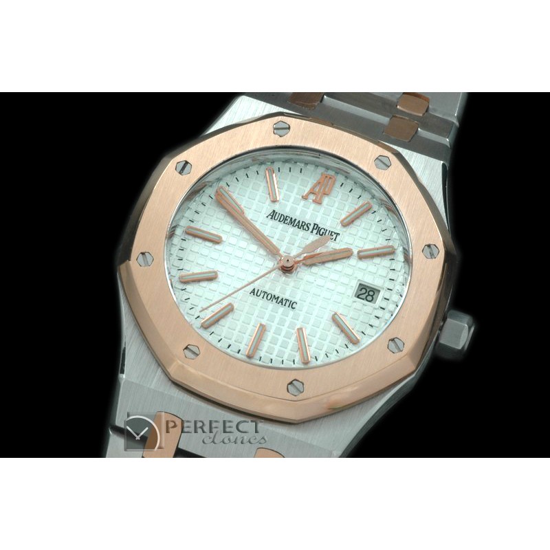 AP00047 Royal Oak Jumbo Auto SS/RG TT White A-2824-2