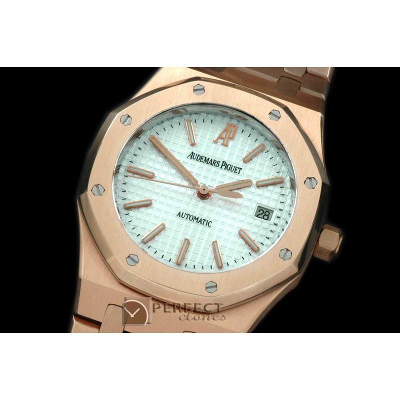 AP00055 Royal Oak Jumbo Auto RG/RG White A-2824-2